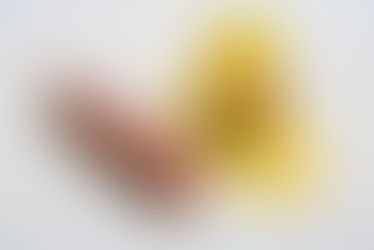 Edinburgh Evening News 42 - Roasted Duck Breast, Parsnip and Orange Purée