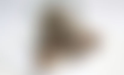 Edinburgh Evening News 17 - Dark Chocolate and Whisky Truffles