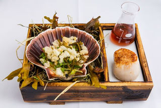 Edinburgh Evening News 68 - Duo of Hand Dived Scallops with Dashi Broth