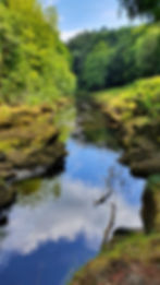20220806_142734.jpg