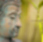 wellness-3318709_edited.jpg