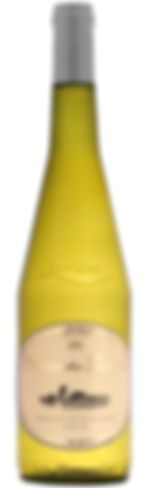 Chateau des Templiers Muscadet Sevre et Maine (Мюскаде Шато де Тамплие)