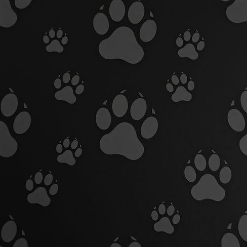 black background with faded paw prints.jpg