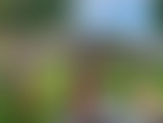 How to Host a Pet-Friendly Event (and Make New Friends Too!)