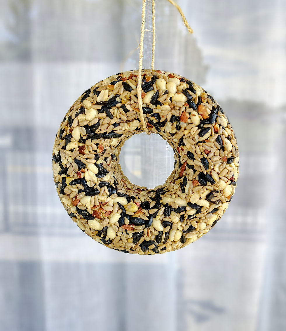 Thumbnail: Birdseed Wreath (Chickadee Snack)