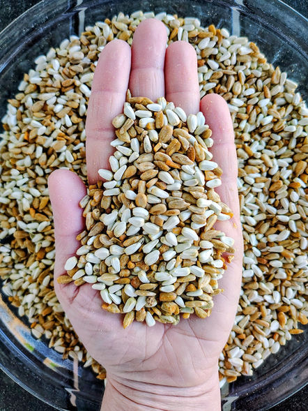 white safflower and shelled sunflower seeds covered in red pepper are in the palm of a hand over a bowl of seeds