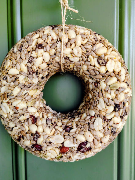 ring of birdseed made to look like a wreath hanging from twine in front of a green door