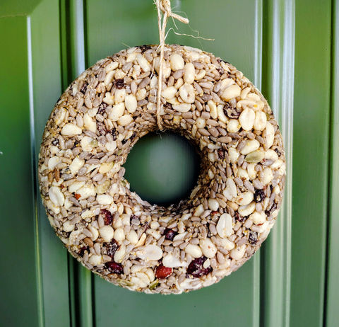 ring of birdseed made to look like a wreath hanging from twine in front of a green door