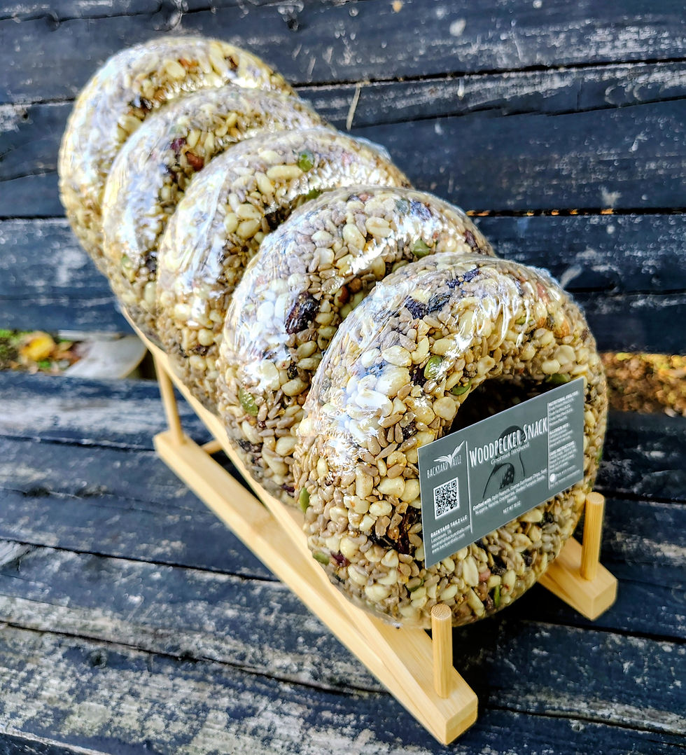 Thumbnail: Birdseed Wreath (Woodpecker Snack) - 3 Pack