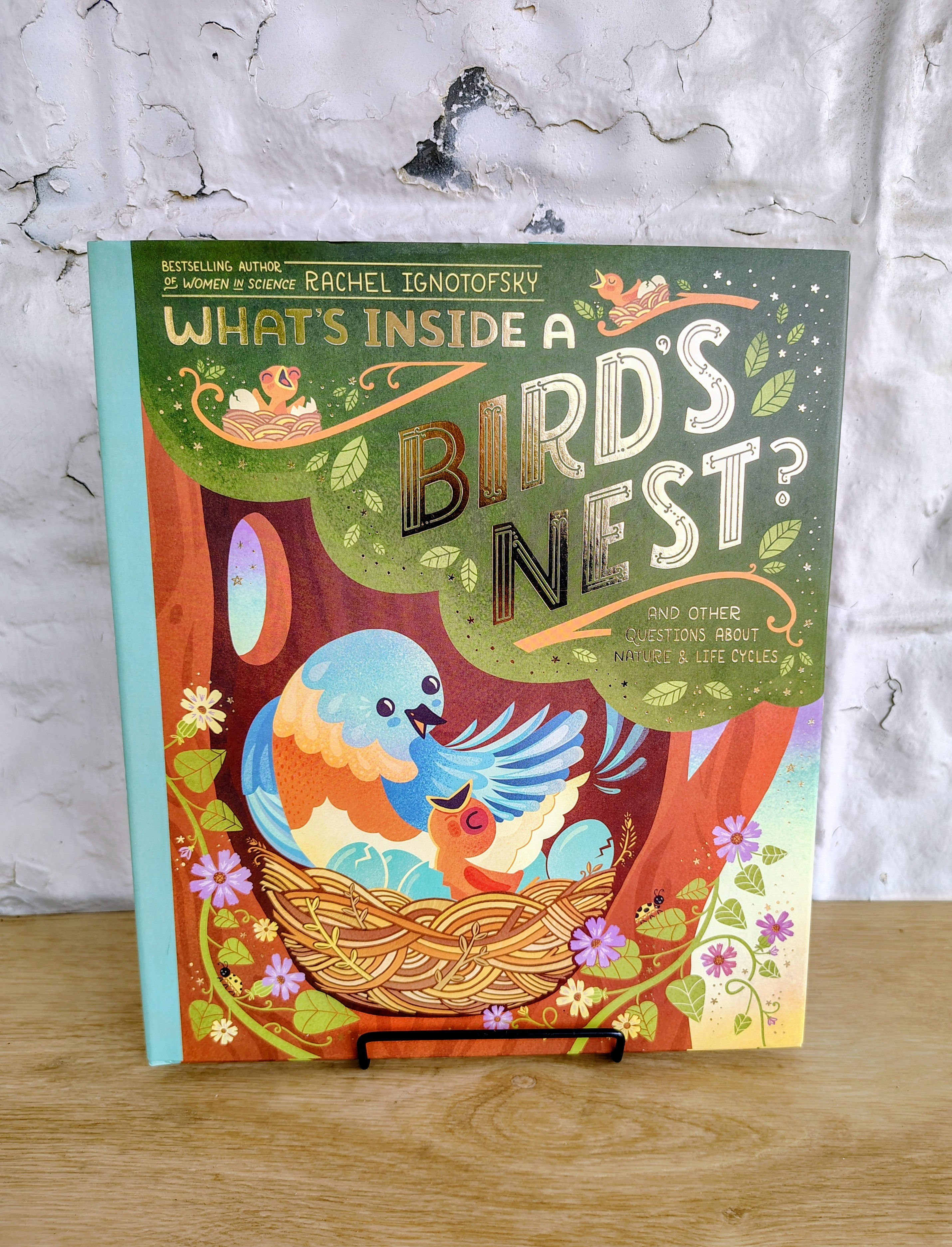What's Inside a Bird's Nest? by Rachel Ignotofsky