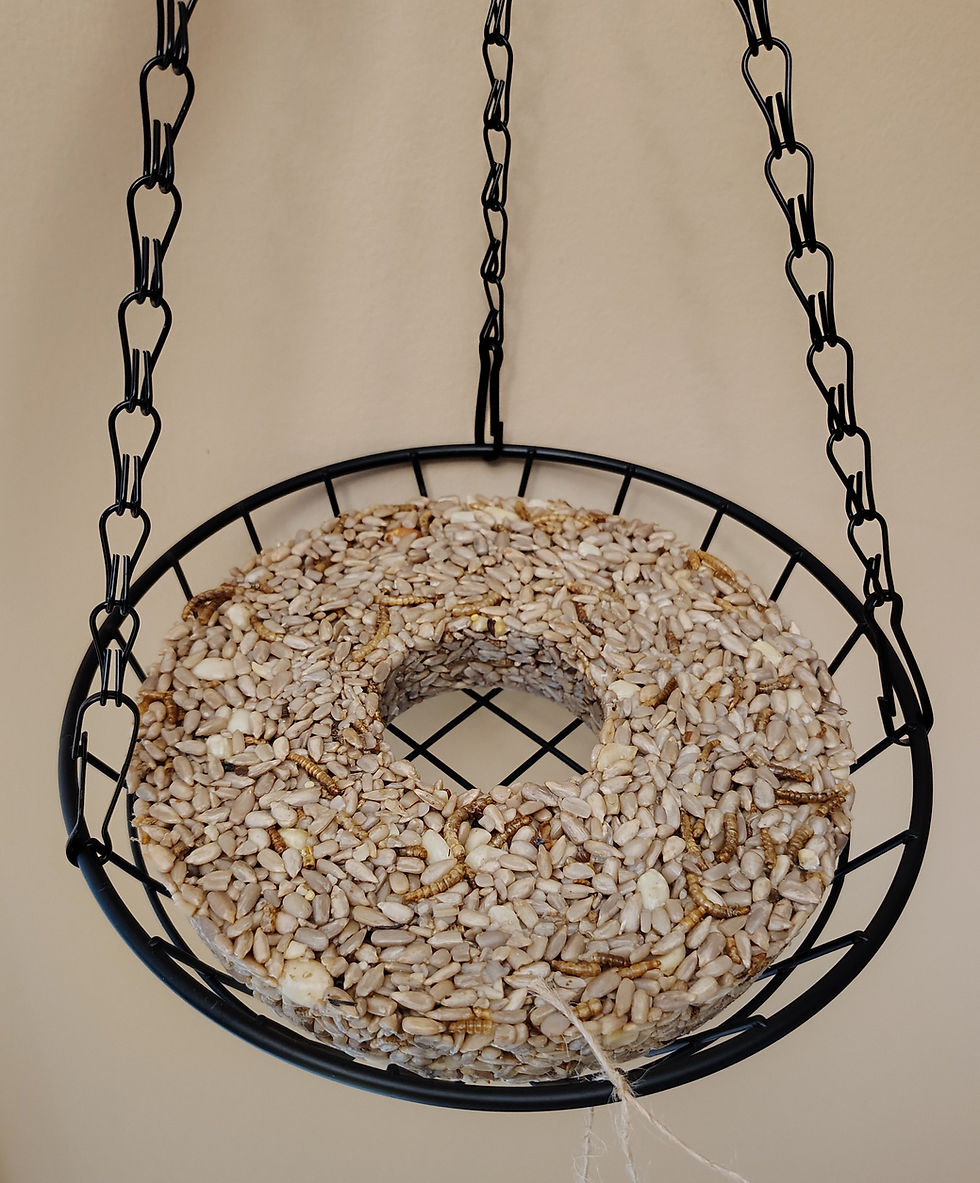 Thumbnail: Birdseed Wreath (Just Nuts No Waste)