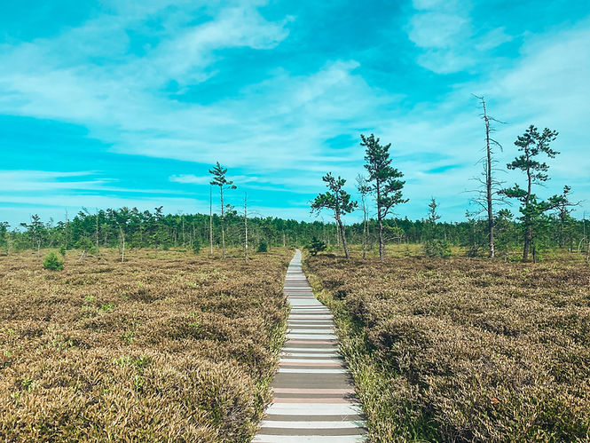 Saco Heath-Horizontal-HigherRes.jpg