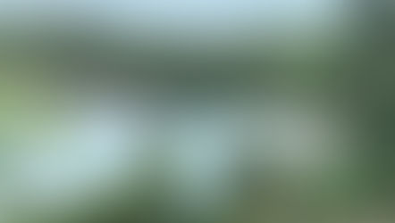 Best Hikes in Maine with Ocean Views