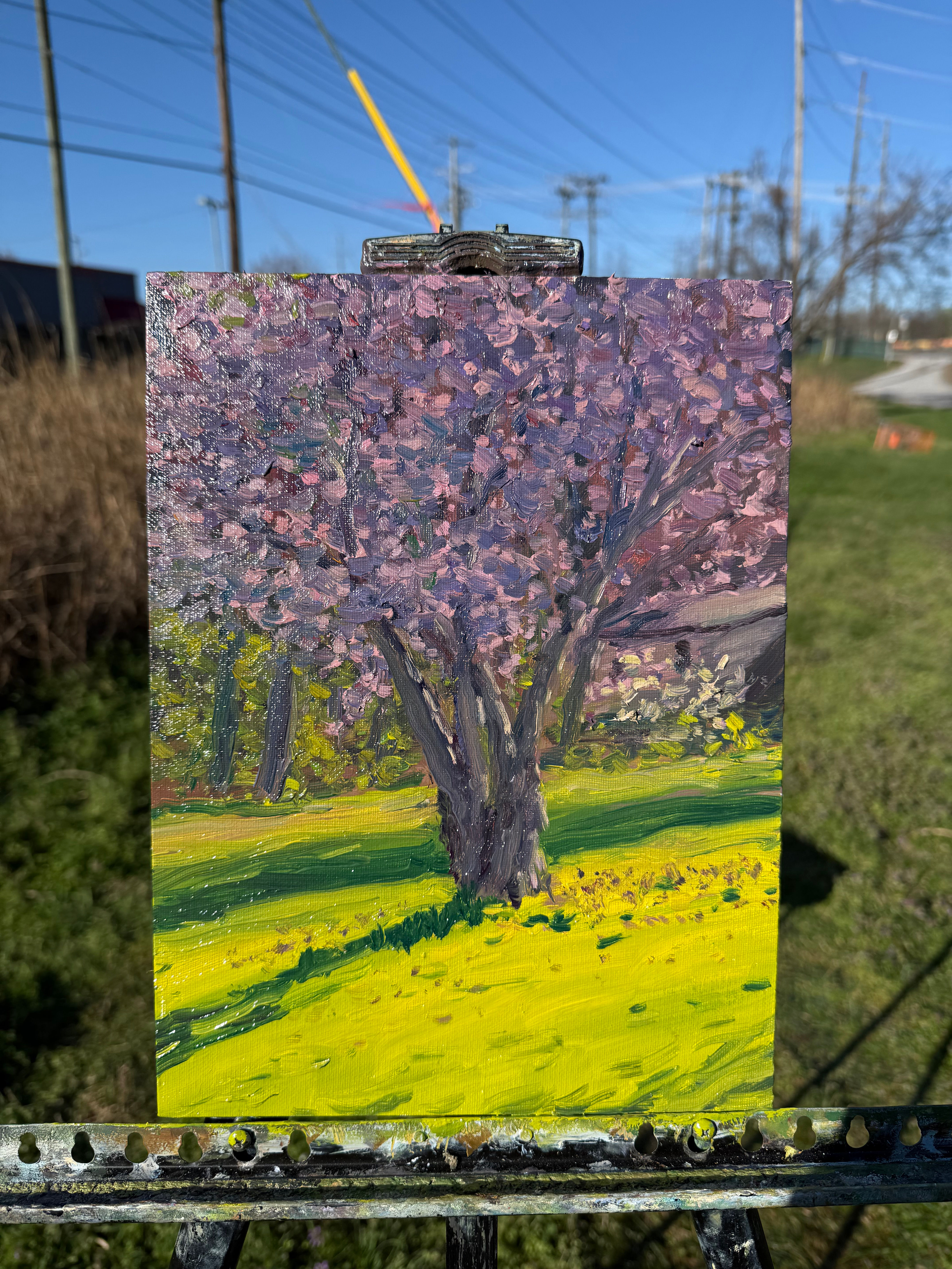“Redbud, Sunrise” 9”x12” oil