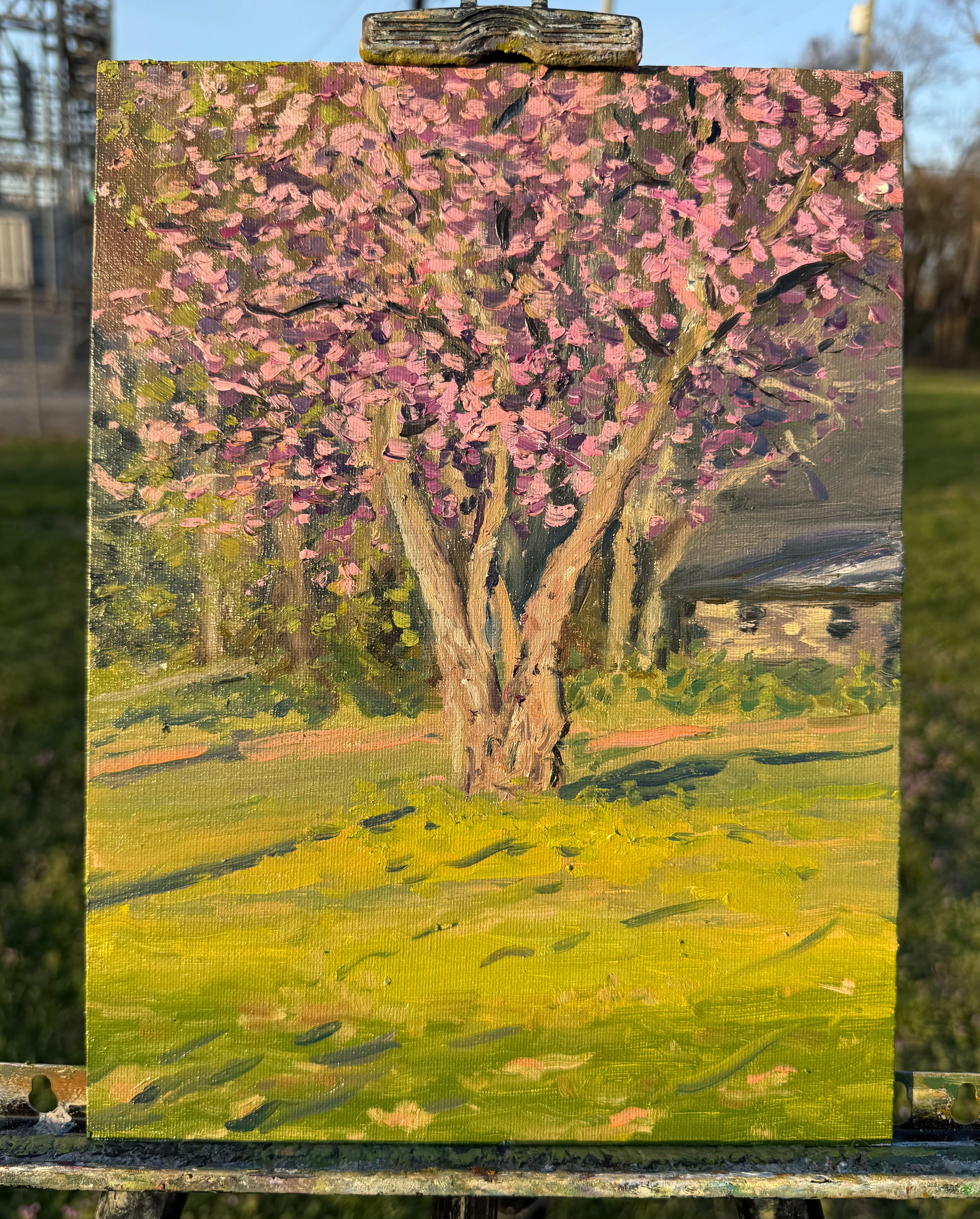 “Redbud, Late Day” 9”x12” oil