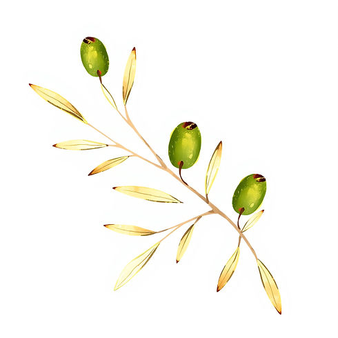 clip art gold green olive branches sketch.jpg