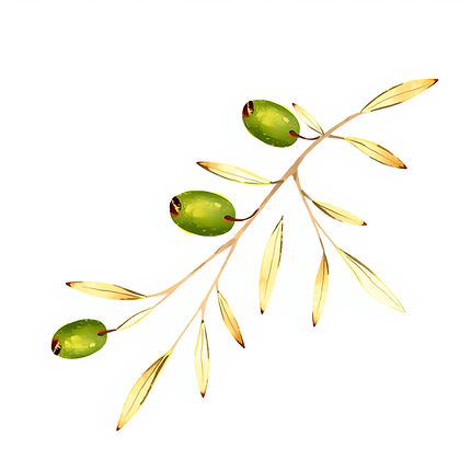 clip art gold green olive branches sketch_edited.jpg
