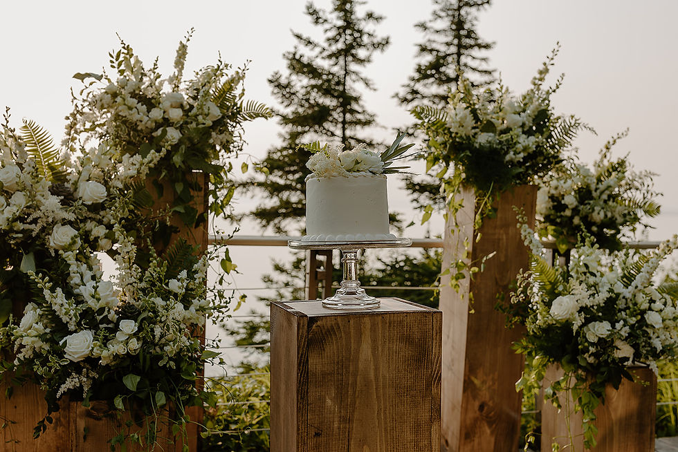 Lake Superior Elopement