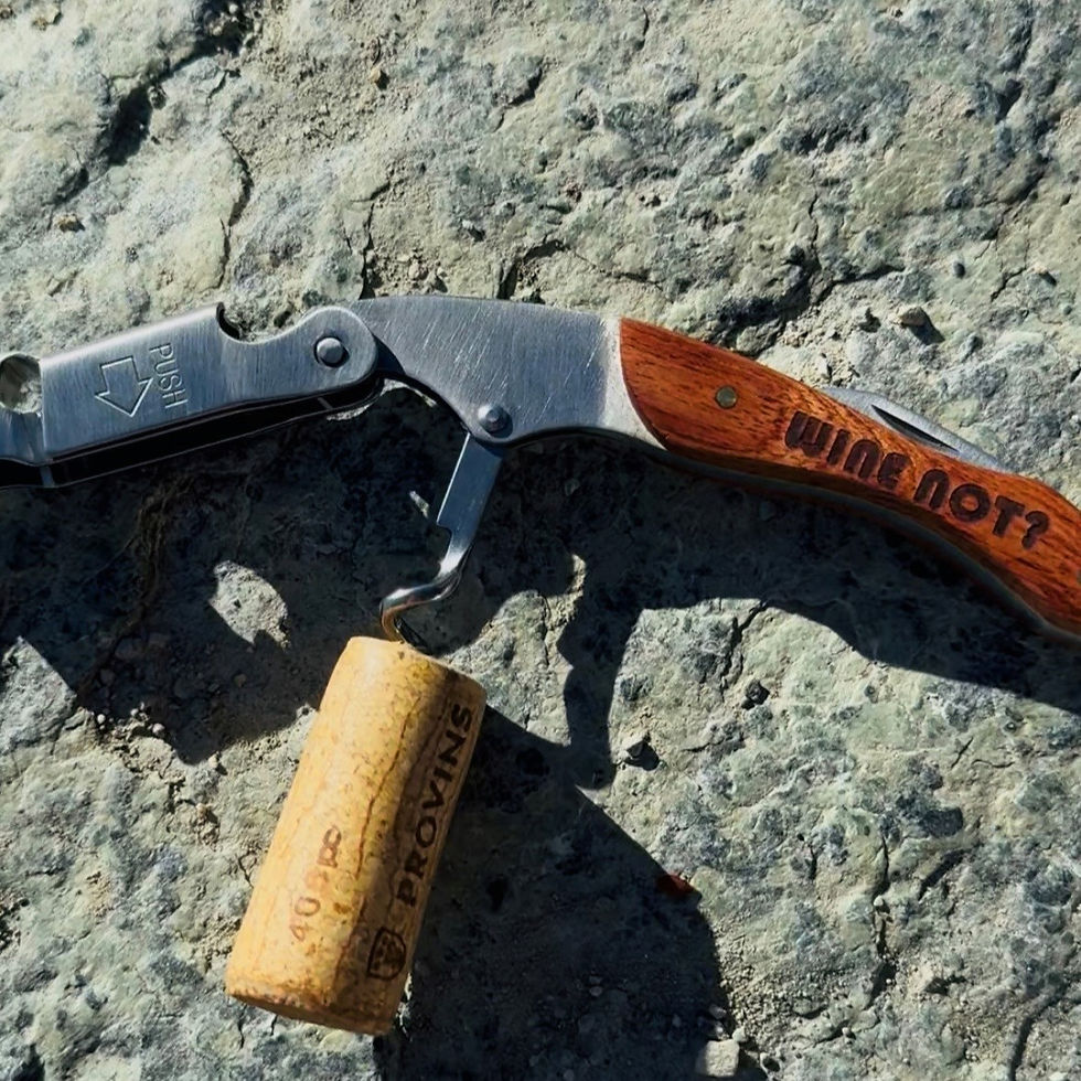 Falschenöffner / Korkenzieher " Wine Not?"