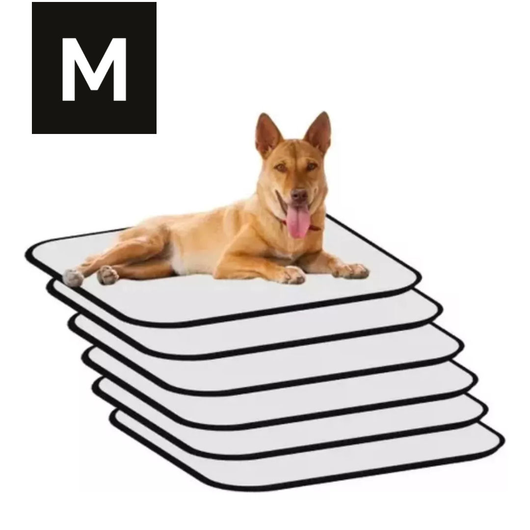 6 Tapetes Internos Lavável Para Cães - Casa Sem Xixi 70x50