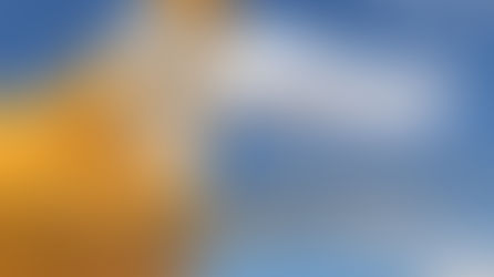 Flybondi, sus problemas y lo que no terminará en LAPA