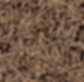 Cumin Seeds.png