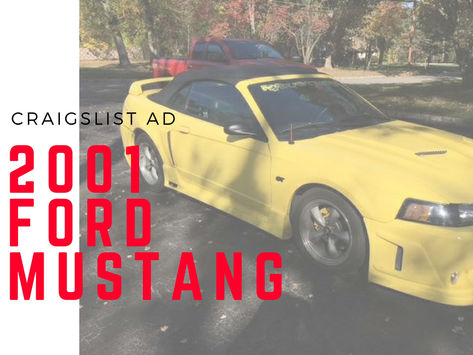 Does This Stang Make You Want to Drop the Top?