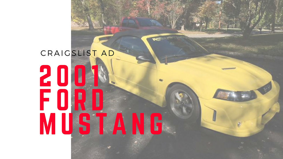 Does This Stang Make You Want to Drop the Top?