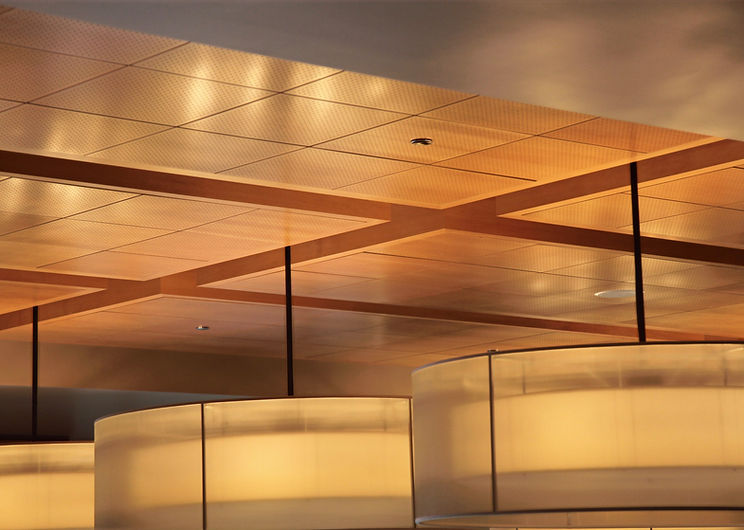 Perforated2X2CeilingPanels_edited.jpg