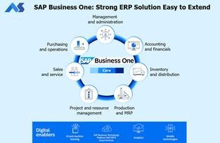 Elevate Your Business with SAP Business One (SAP B1) by True Experts 
