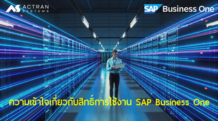 ความเข้าใจเกี่ยวกับสิทธิ์การใช้งาน SAP Business One