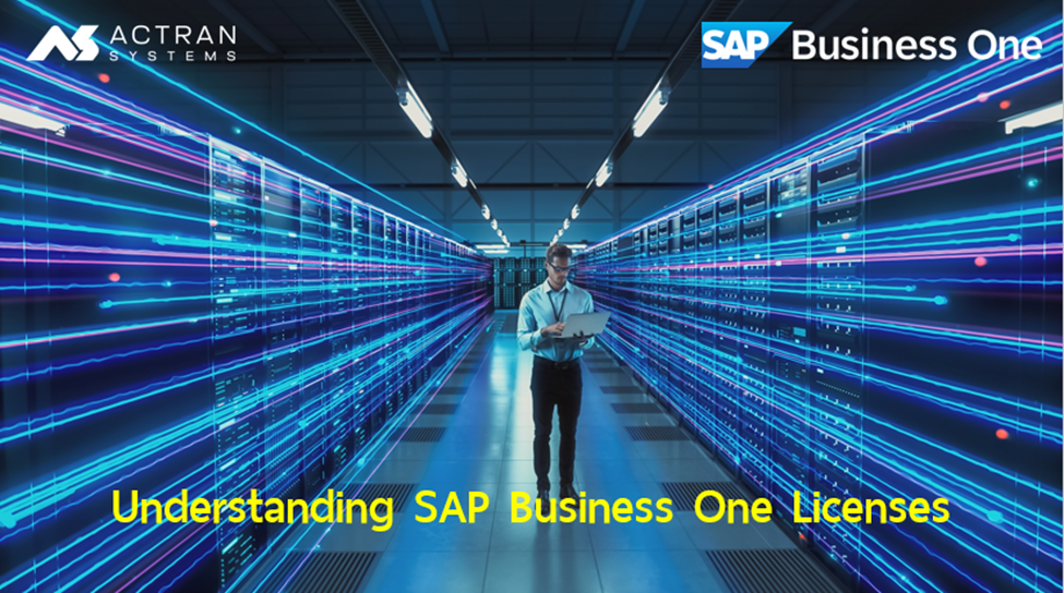 Understanding SAP Business One Licenses