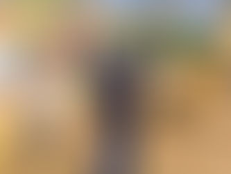 An Oaklands pupil playing on our new play equipment in our playground