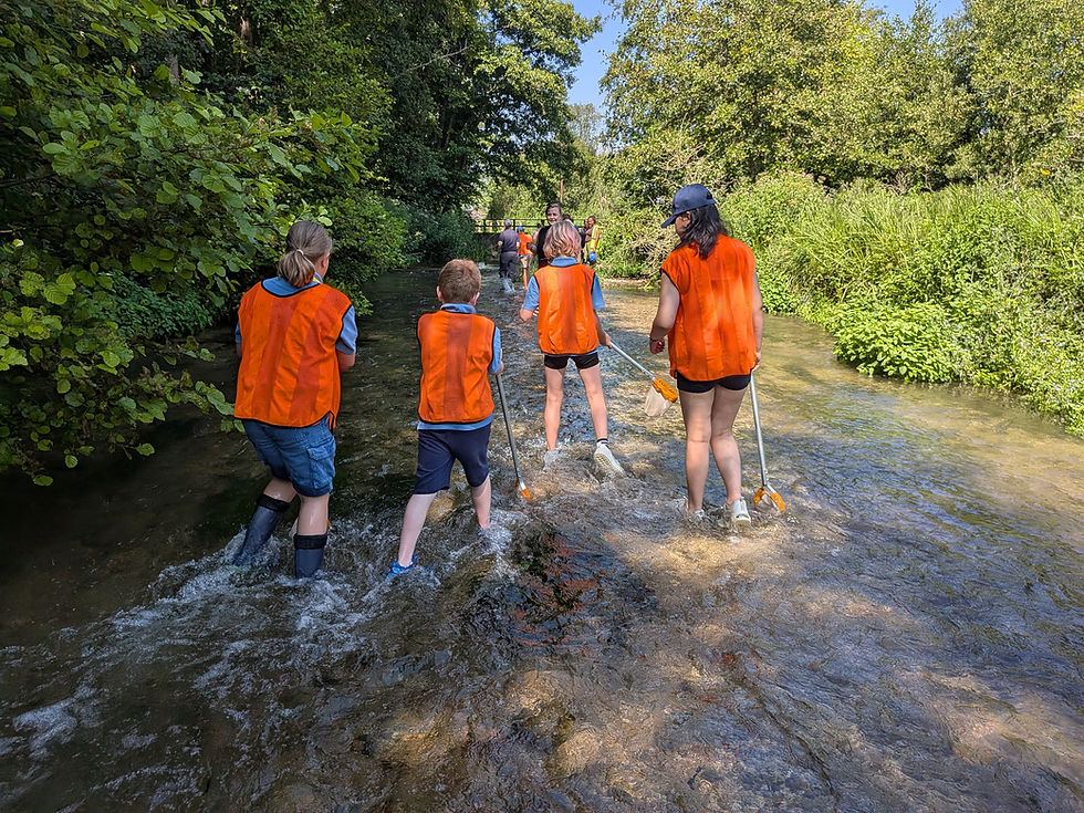 Beech class pupils wading in the River Kennet