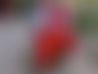 Two pupils sitting on a trike wearing red in support of Comic Relief