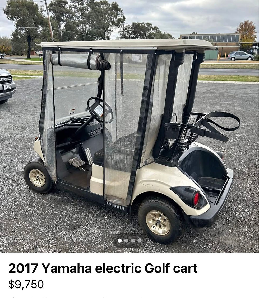 Yamaha Electric Curtains