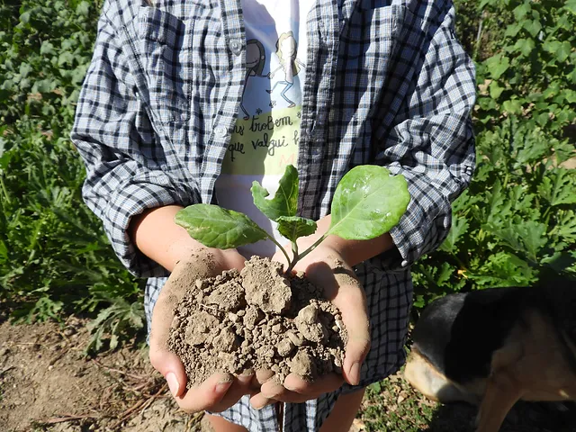 Get Wallpaper Filosofia Cases Blanques Desktop Wallpaper Free