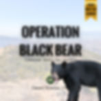 Operation BLACK BEAR 2026