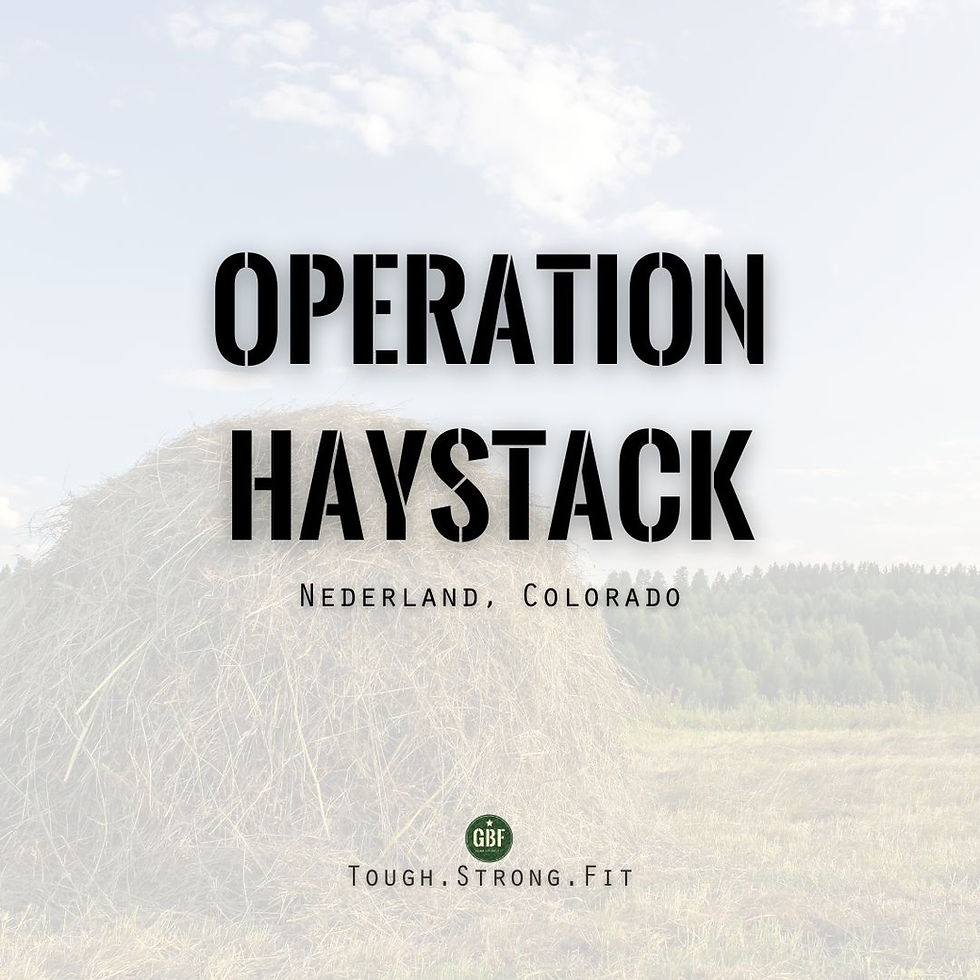 Operation HAYSTACK