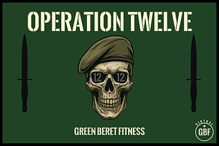 Op TWELVE patch