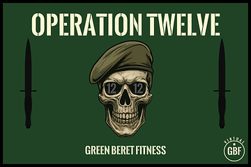 Op TWELVE patch