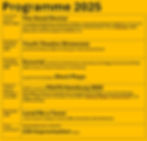 Our 2025 programme