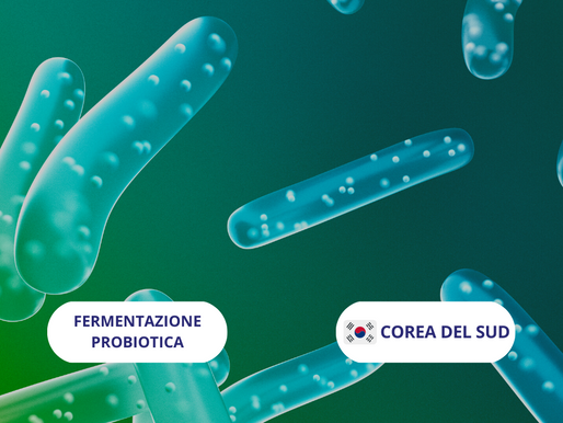 Importante azienda sudcoreana di beni di consumo ricerca aziende di fermentazione probiotica