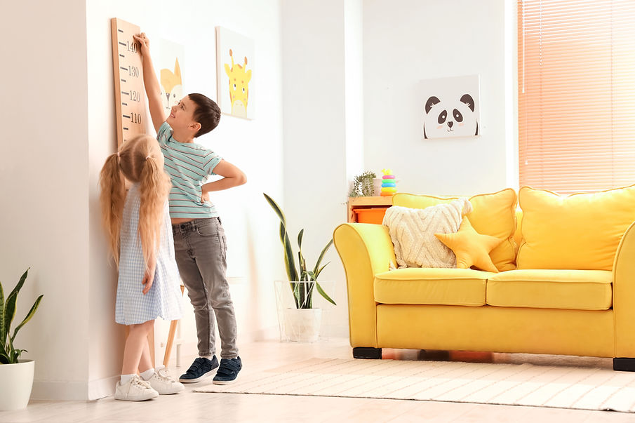 Masuratori usi Drag de Lemn