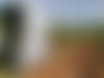 Thorvald controlling powdery mildew in vineyards.