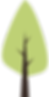 tree-07.png
