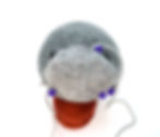 knitted manatee toy body shown from the top end, with snout piece pinned in place.