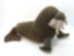 knitted walrus toy shown from the side, with yarn fringe on the snout for whiskers, and tusks underneath