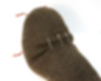 knitted walrus body, with 2 folds across the back to shorten it and hold the head upright
