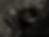 Thumbnail: TOP ONLY for Trumpet/Cornet/Flugel
